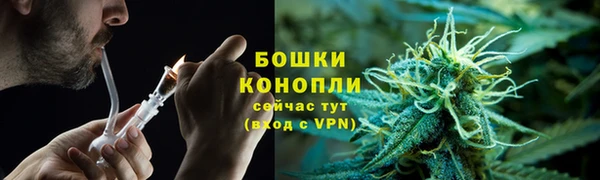 ешки Верхний Тагил