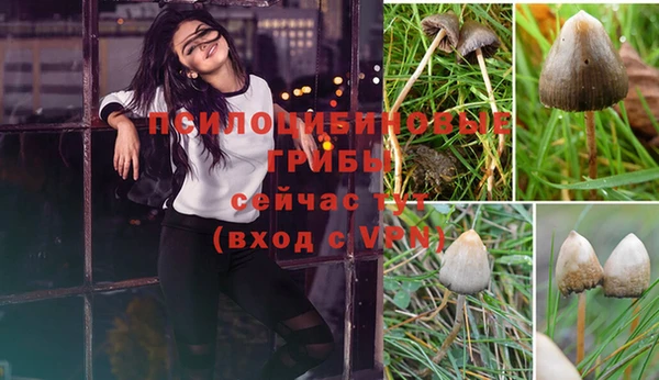 молекула духа Верхнеуральск