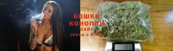 амф Верея