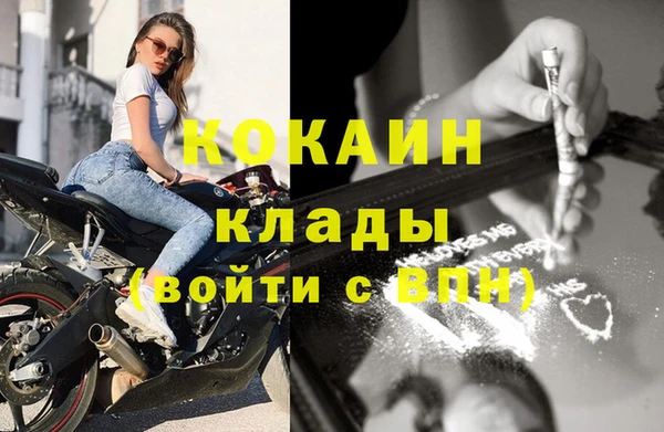 амф Верея