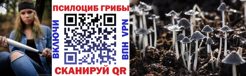 Псилоцибиновые грибы Psilocybe  mega зеркало  Невель 